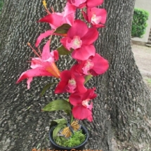 Mothers Day Silk Flower with Butterfly Gift